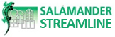 Salamander
