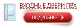 Входные пластиковые двери